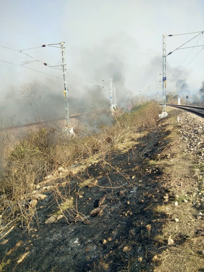 फोटो-6- आग लगने से बांसापहाड़ - मानिकपुर मार्ग के दोनों रेलवे ट्रैक किनारे फैली आग। संवाद फोटो-6- आग लगने से बांसापहाड़ - मानिकपुर मार्ग के दोनों रेलवे ट्रैक किनारे फैली आग। संवाद