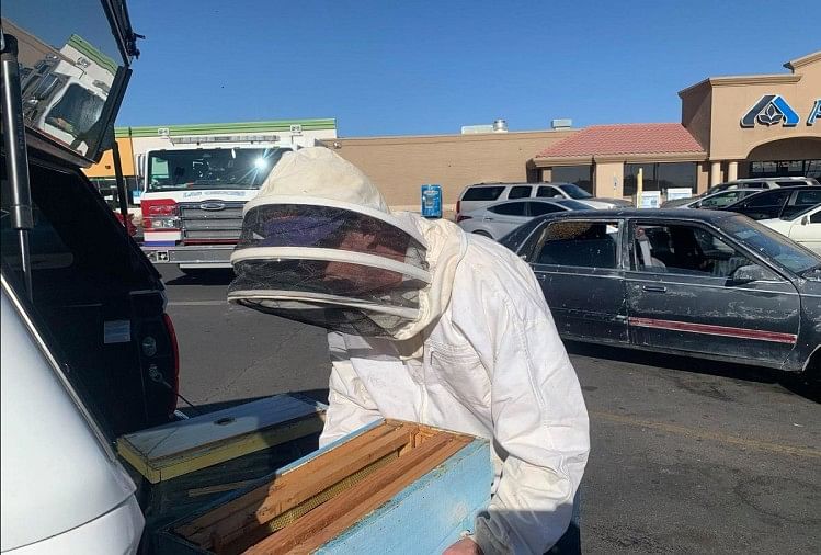 कार से मधुमक्खियों को निकालने की कोशिश करते जेसी जॉनसन