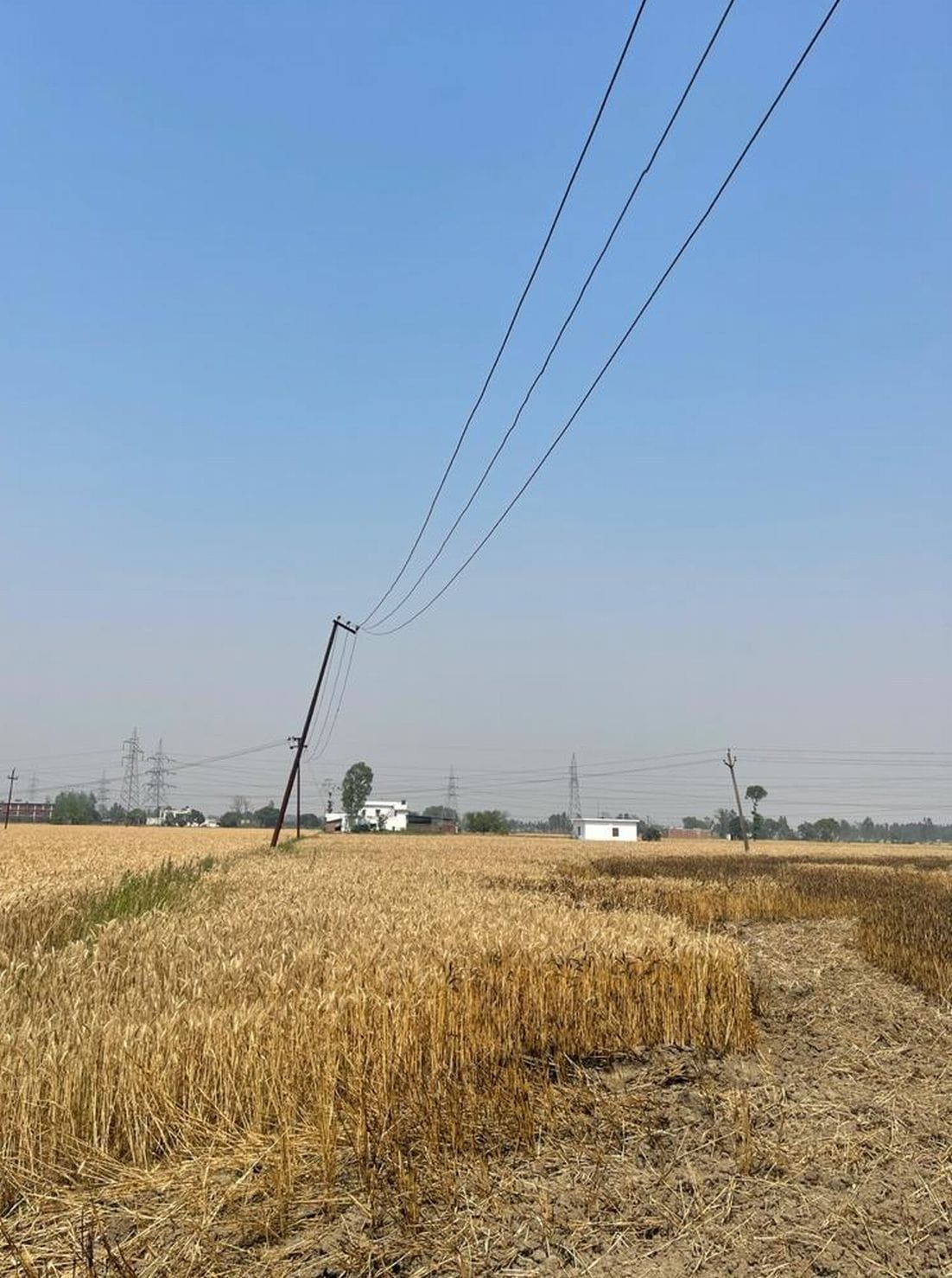 काशीपुर में खेतों के ऊपर से झूलते बिजली के तार। काशीपुर में खेतों के ऊपर से झूलते बिजली के तार।