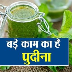 पुदीने के फायदे
