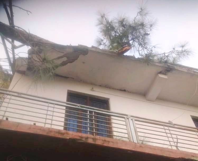 स्वारघाट में तूफ़ान के कारण घर की छत पर पेड़ गिरने से टूटी छत। स्वारघाट में तूफ़ान के कारण घर की छत पर पेड़ गिरने से टूटी छत।