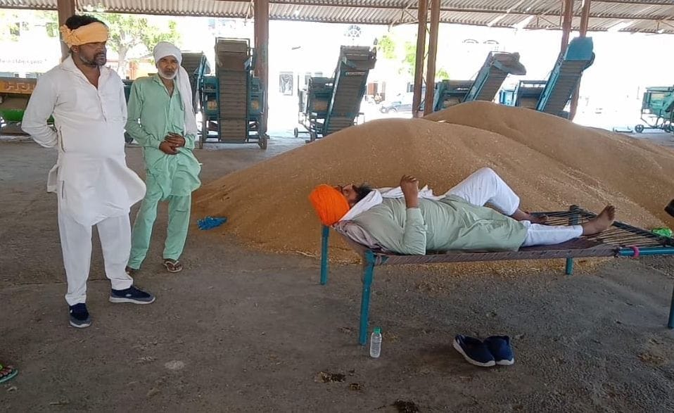 रतिया में गेहूं खरीद नहीं होने पर मंडी में चारपाई डालकर लेटा किसान। रतिया में गेहूं खरीद नहीं होने पर मंडी में चारपाई डालकर लेटा किसान।