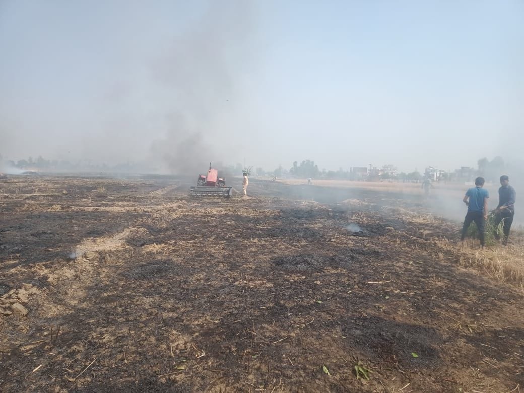 खटीमा के नदन्ना गांव में आग से जली गेहूं की फसल। खटीमा के नदन्ना गांव में आग से जली गेहूं की फसल।