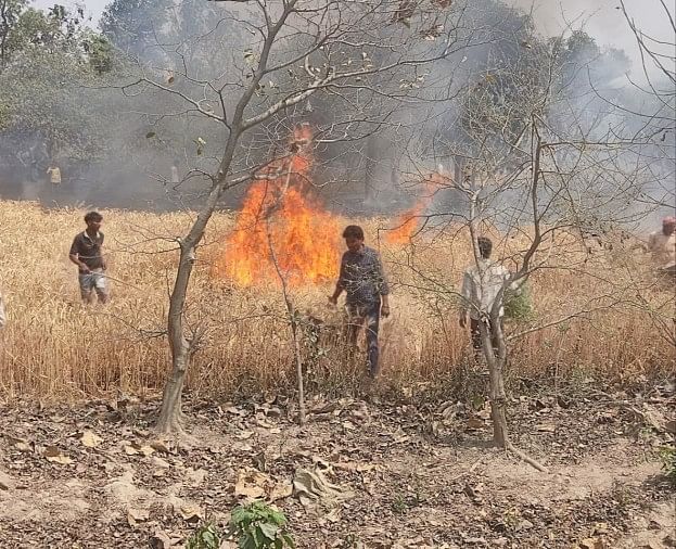 कलवारी क्षेत्र में आग लगने से 30 बीघाट जलाशय पाऊं में आग से जलाशय की फसल, आग बुझाते ग्रामीण।