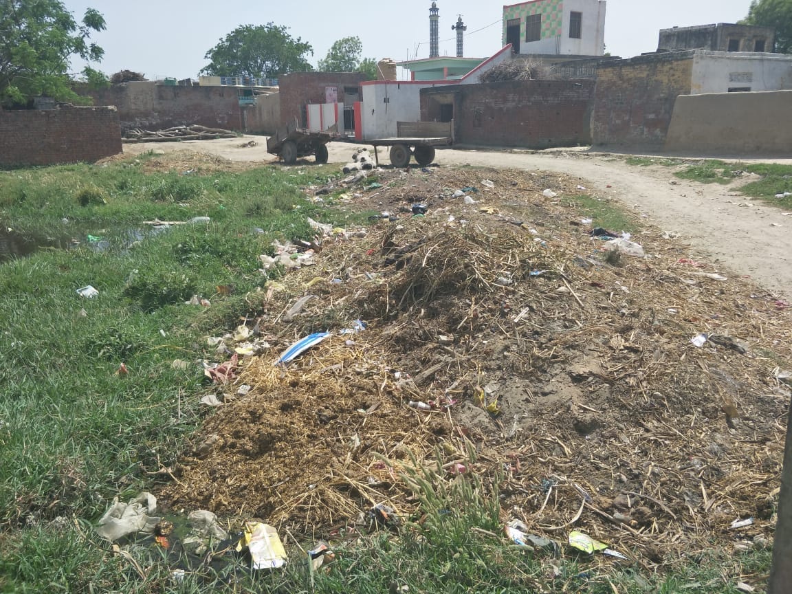 शाहपुर में गंदगी से अटा पड़ा तालाब शाहपुर में गंदगी से अटा पड़ा तालाब
