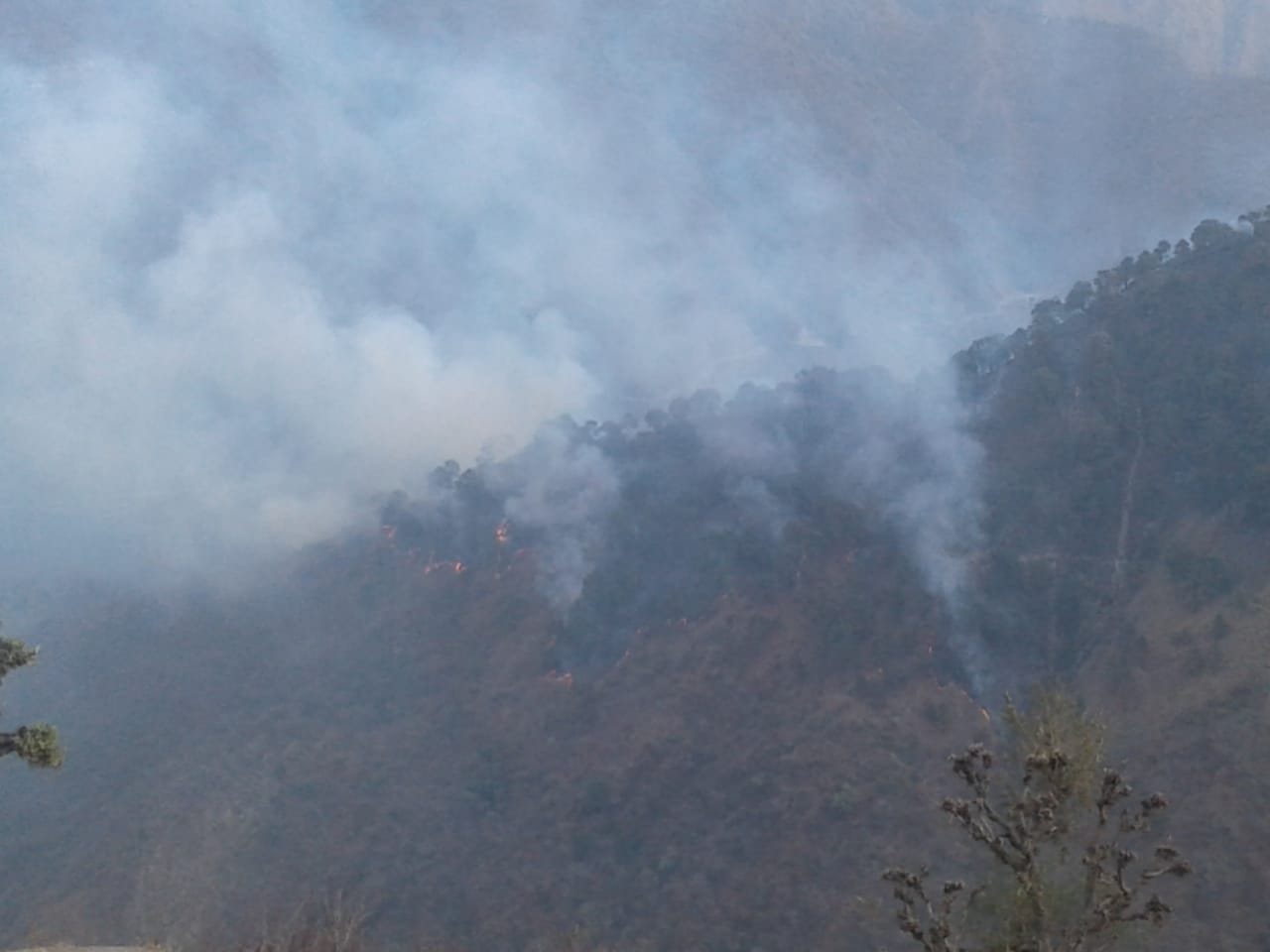 लक्सियार क्षेत्र के जंगल में लगी आग से उठता धुंआ। संवाद लक्सियार क्षेत्र के जंगल में लगी आग से उठता धुंआ। संवाद