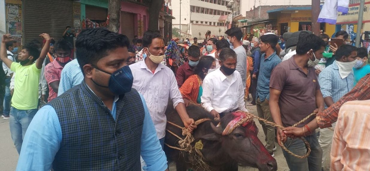 ेवी मंदिर देघाट में पशु को लाते श्रद्धालु। ेवी मंदिर देघाट में पशु को लाते श्रद्धालु।