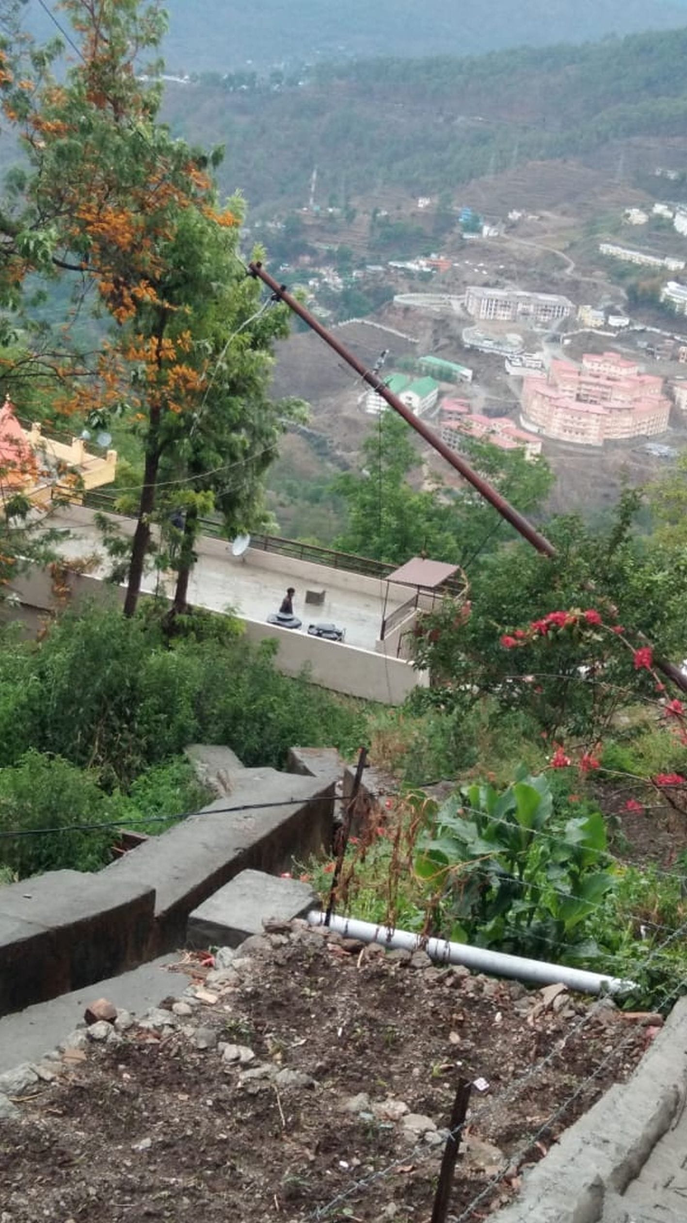 पेड़ गिरने से अल्मोड़ा के थपलिया में क्षतिग्रस्त बिजली लाइन और पोल। पेड़ गिरने से अल्मोड़ा के थपलिया में क्षतिग्रस्त बिजली लाइन और पोल।