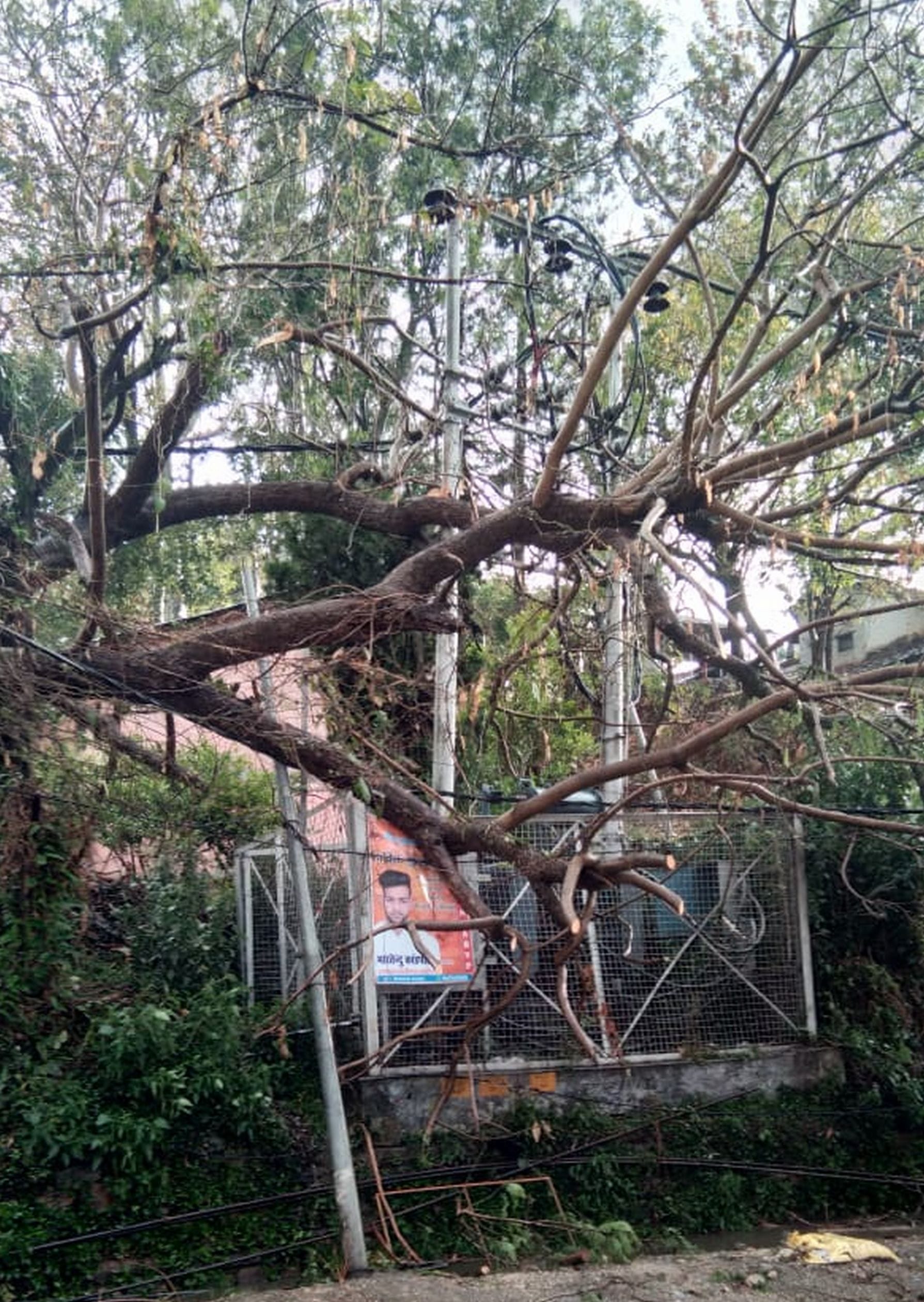 अल्मोड़ा मालरोड में वन विभाग के समीप ट्रांसफार्मर के ऊपर गिरा पेड़। अल्मोड़ा मालरोड में वन विभाग के समीप ट्रांसफार्मर के ऊपर गिरा पेड़।