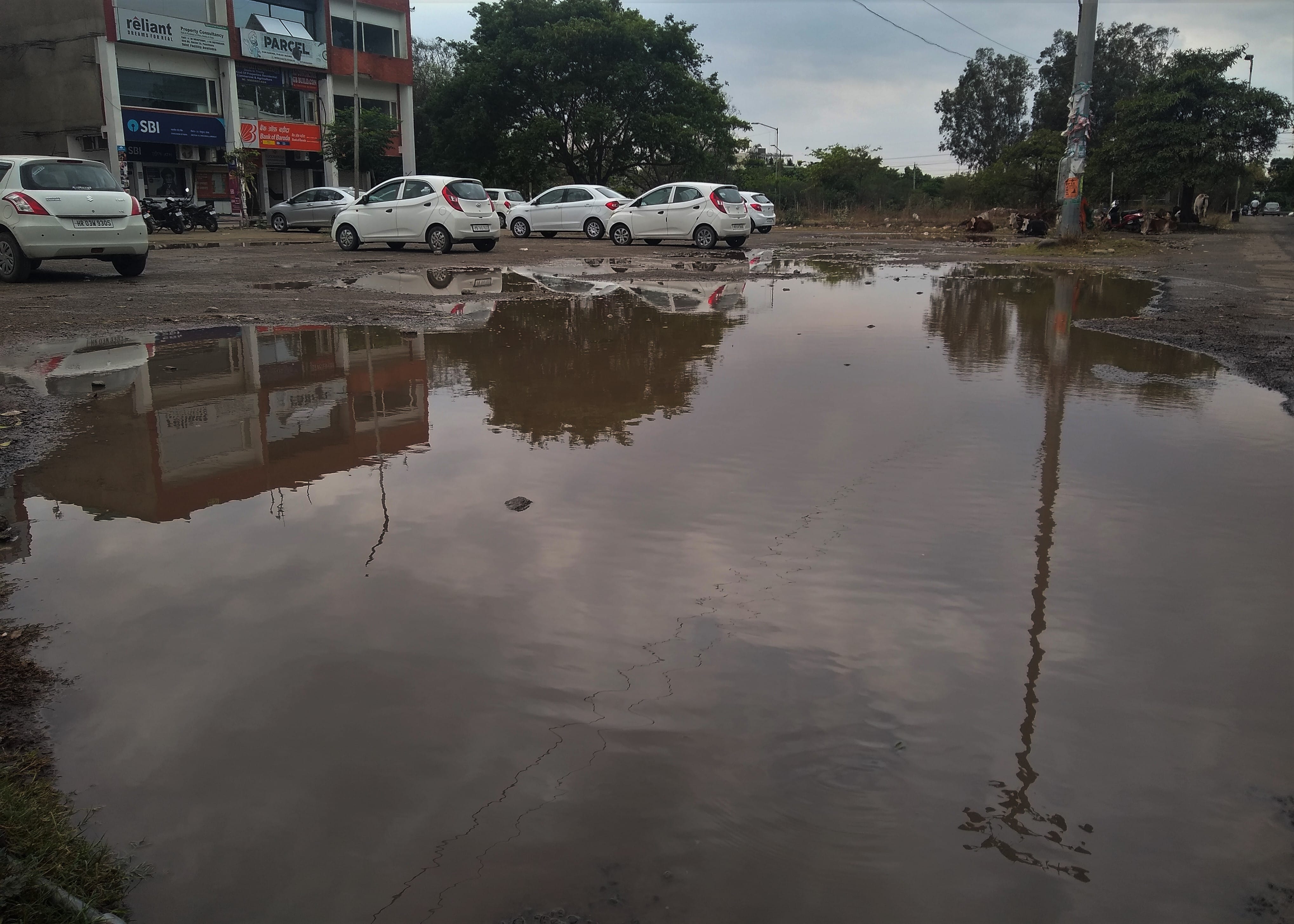 सेक्टर-21 की मार्केट की पार्किंग में बारिश के बाद जमा पानी। सेक्टर-21 की मार्केट की पार्किंग में बारिश के बाद जमा पानी।