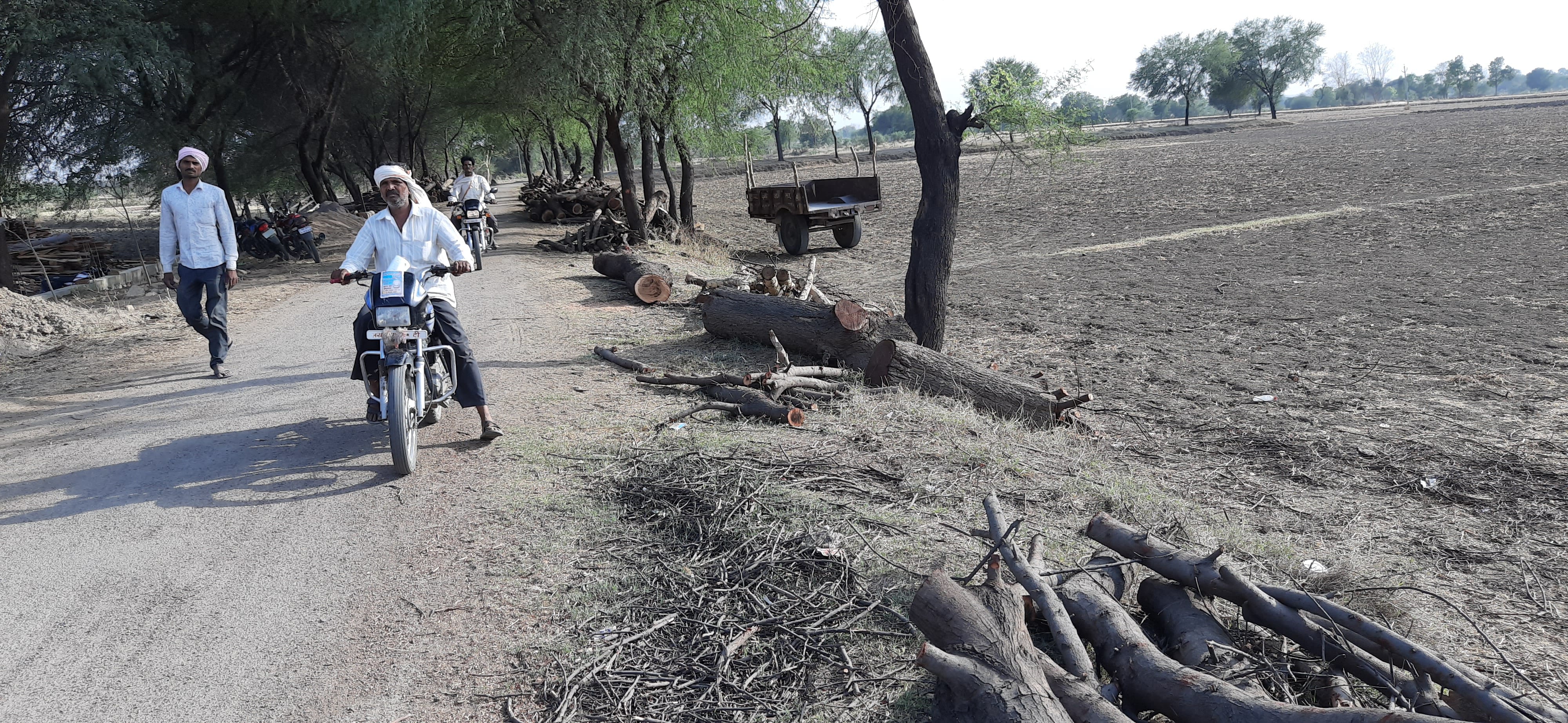 गौना रेंज में धड़ल्ले से काटे जा रहे पेड़