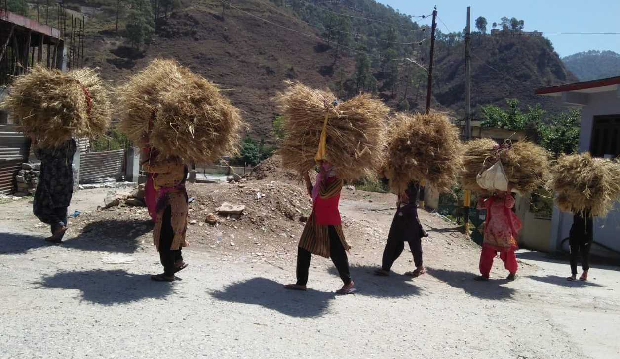 बागेश्वर में कर्फ्यू के दौरान जहां बाजारों में सन्नाटा रहा, लेकिन महिलाओं की खेती का काम चलता रहा