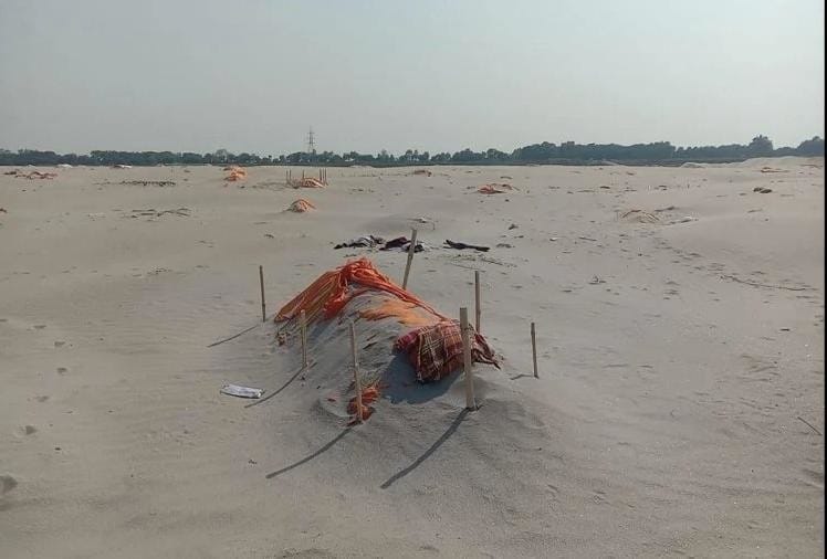 झूंसी के छतनाग घाट पर सैकड़ों की संख्या में दफनाए गए शव