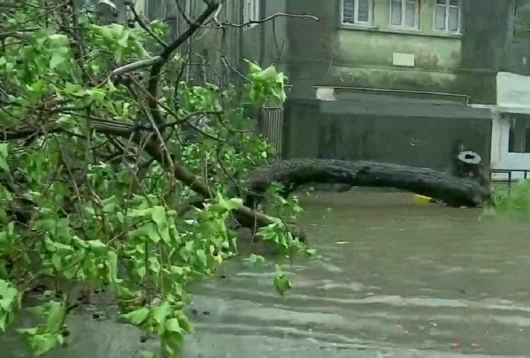 Cyclone Tauktae Live IMD Rain Alert Cyclone Live Tracking and Weather Updates of Maharashtra Gujarat Daman Diu Goa