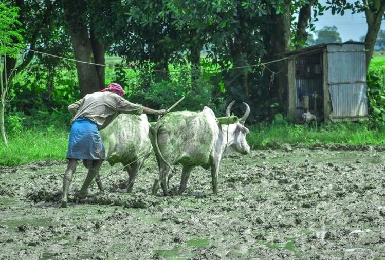 किसान भी ऑनलाइन सुविधाओं का ले सकेंगे लाभ, 12 सेवाएं होंगी ऑनलाइन