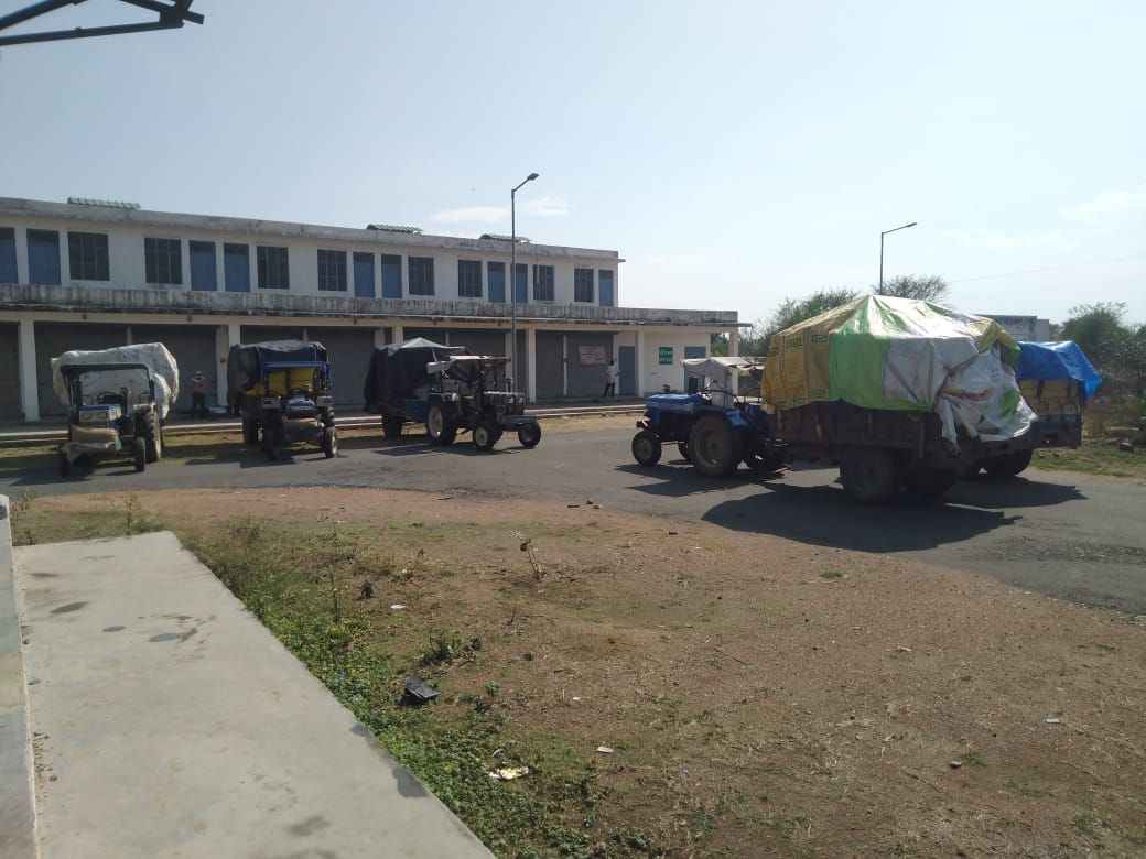 अमरपुर मंडी में एफसीआई का केंद्र खुलने की सूचना पर पहुंचे ट्रैक्टर ट्राली अमरपुर मंडी में एफसीआई का केंद्र खुलने की सूचना पर पहुंचे ट्रैक्टर ट्राली