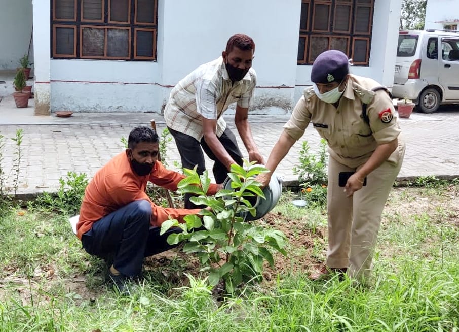 अफजलगढ़ में अपने कार्यालय में पौधारोपण करते सीओ सुनीता दहिया।