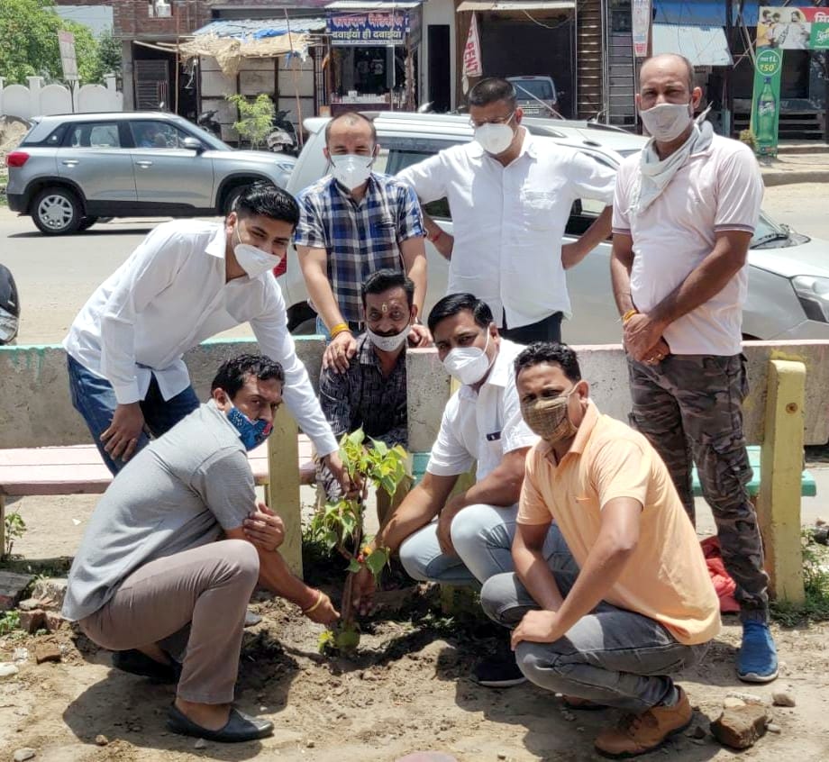 बिजनौर मे सेंट मैरी चौराहे पर पौधरोपण करते भाजपा कार्यकर्ता।