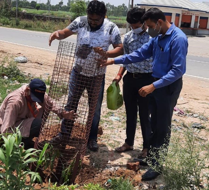 नजीबाबाद के साहनपुर क्षेत्र में पौध रोपित करते नमो फाउंडेशन के सदस्य। नजीबाबाद के साहनपुर क्षेत्र में पौध रोपित करते नमो फाउंडेशन के सदस्य।