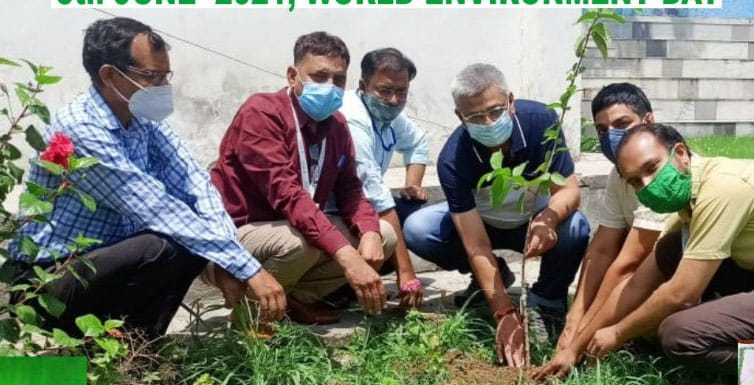 एसडी कालेज ऑफ कामर्स में पौधरोपण कर विश्व पर्यावरण दिवस मनाते शिक्षक। एसडी कालेज ऑफ कामर्स में पौधरोपण कर विश्व पर्यावरण दिवस मनाते शिक्षक।