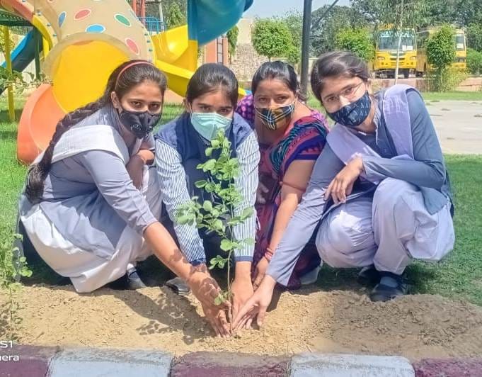 शामली में महाराजा सूरजमल पब्लिक स्कूल में पर्यावरण दिवस पर पौधारोपण करतीं छात्राएं।