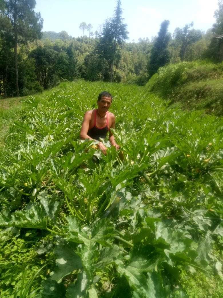 स्टीयरिंग थामने वाले सागर अब खेतीखान गांव में फसलों को लहलहा रहे।