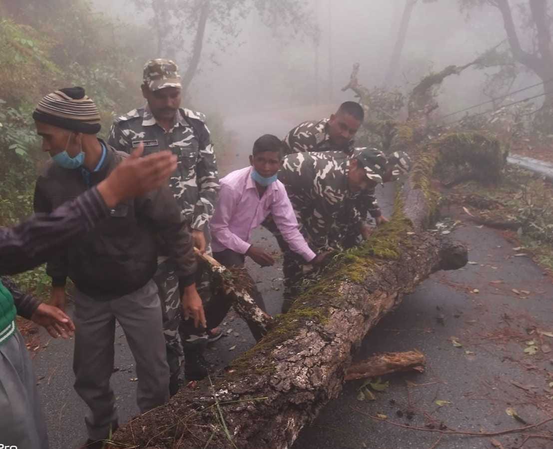 सीमांत तामली को जाने वाली सड़क पर गिरे पेड़ को हटाते एसएसबी के जवान।