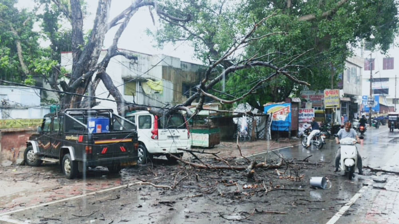 शहर के आकिल तिराहा के पास बारिश से गिरा सूखा पेड़ वाहन हुआ क्षतिग्रस्त। शहर के आकिल तिराहा के पास बारिश से गिरा सूखा पेड़ वाहन हुआ क्षतिग्रस्त।