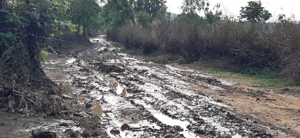 कुर्रट गांव का रास्ता दलदल में तब्दील कुर्रट गांव का रास्ता दलदल में तब्दील