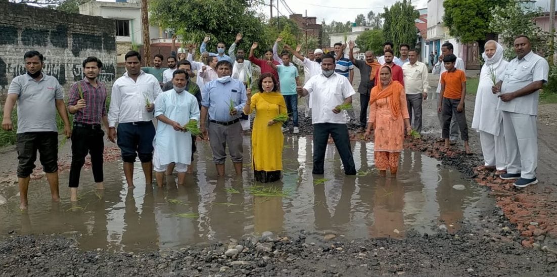 काशीपुर के महुवाखेड़ागंज की टूटी सड़क पर धान रोपकर विरोध जताते कांग्रेसी। काशीपुर के महुवाखेड़ागंज की टूटी सड़क पर धान रोपकर विरोध जताते कांग्रेसी।