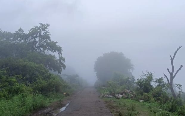 बिजनौर के ग्राम रावली में गंगा के तटबंध पर छाई कोहरे से धुंध। बिजनौर के ग्राम रावली में गंगा के तटबंध पर छाई कोहरे से धुंध।