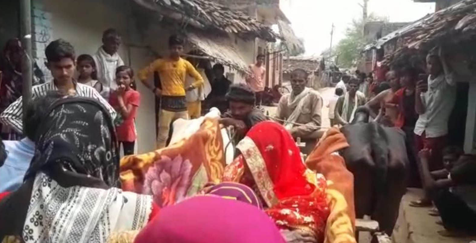 बांदा जिले के नरैनी क्षेत्र में बैलगाड़ी में विदा होती दुल्हन। संवाद बांदा जिले के नरैनी क्षेत्र में बैलगाड़ी में विदा होती दुल्हन। संवाद