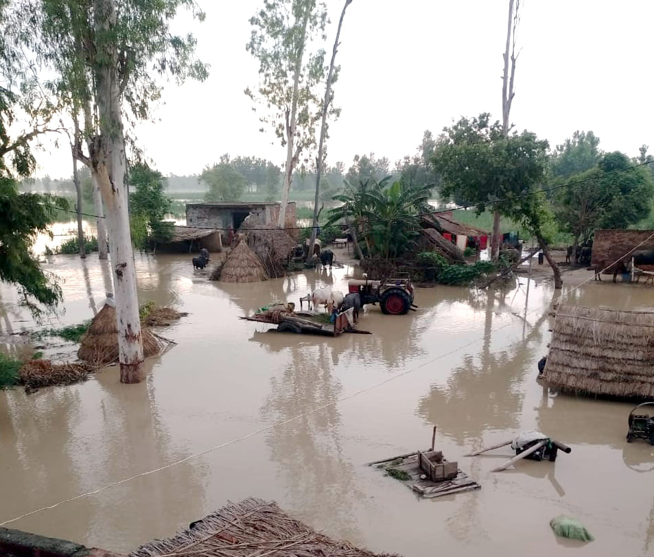 चांदपुर जलीलपुर खादर क्षेत्र में गंगा का जल स्तर बढ़ने से गांव में भरा पानी।
