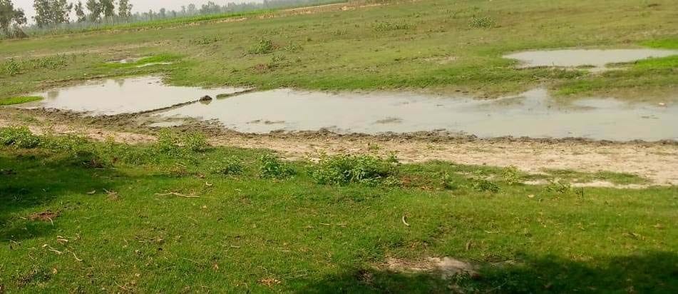 बीसलपुर के गांव पसगवां के इसी जलाशय में आते हैं साइबेरियन पक्षी। बीसलपुर के गांव पसगवां के इसी जलाशय में आते हैं साइबेरियन पक्षी।