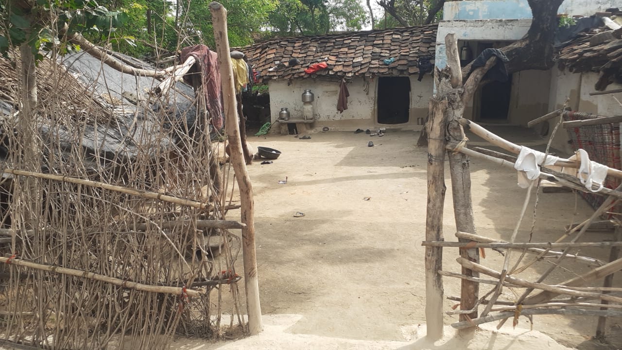 पुरा पाचौनी कच्चे के घर सामने लगी झाड़ियों की बाड़ी