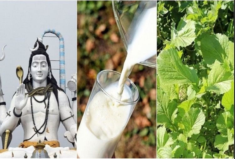 Sawan 2021 Why We Should Not Eat Green Saag And Drink Milk In Sawan Month -  Sawan 2021: जानिए सावन में क्यों नहीं किया जाता दूध और साग का सेवन? - Amar