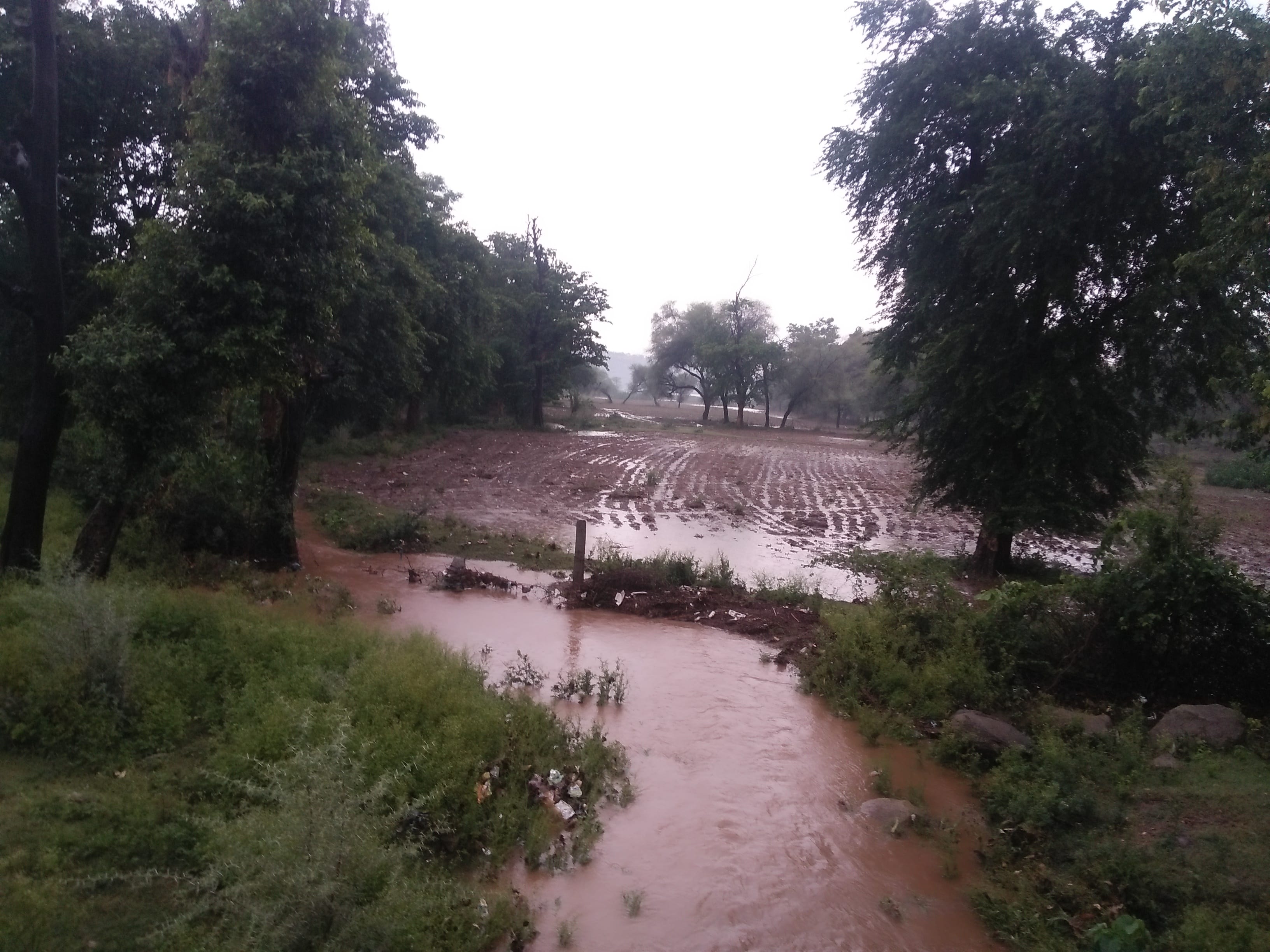 नाले से बहता हुआ पानी खेतों में घुसा