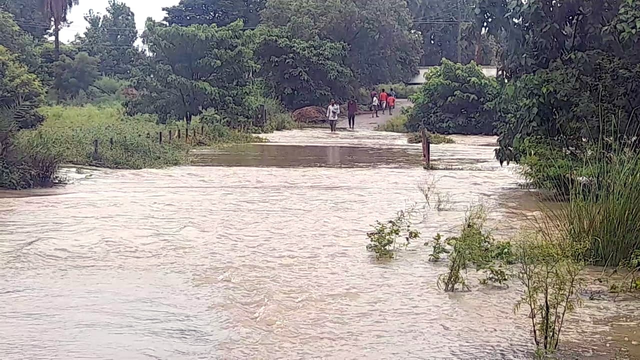नहटौर की गांगन नदी का जलस्तर बढ़ने पर डूबा फिरोजपुर का पुल।