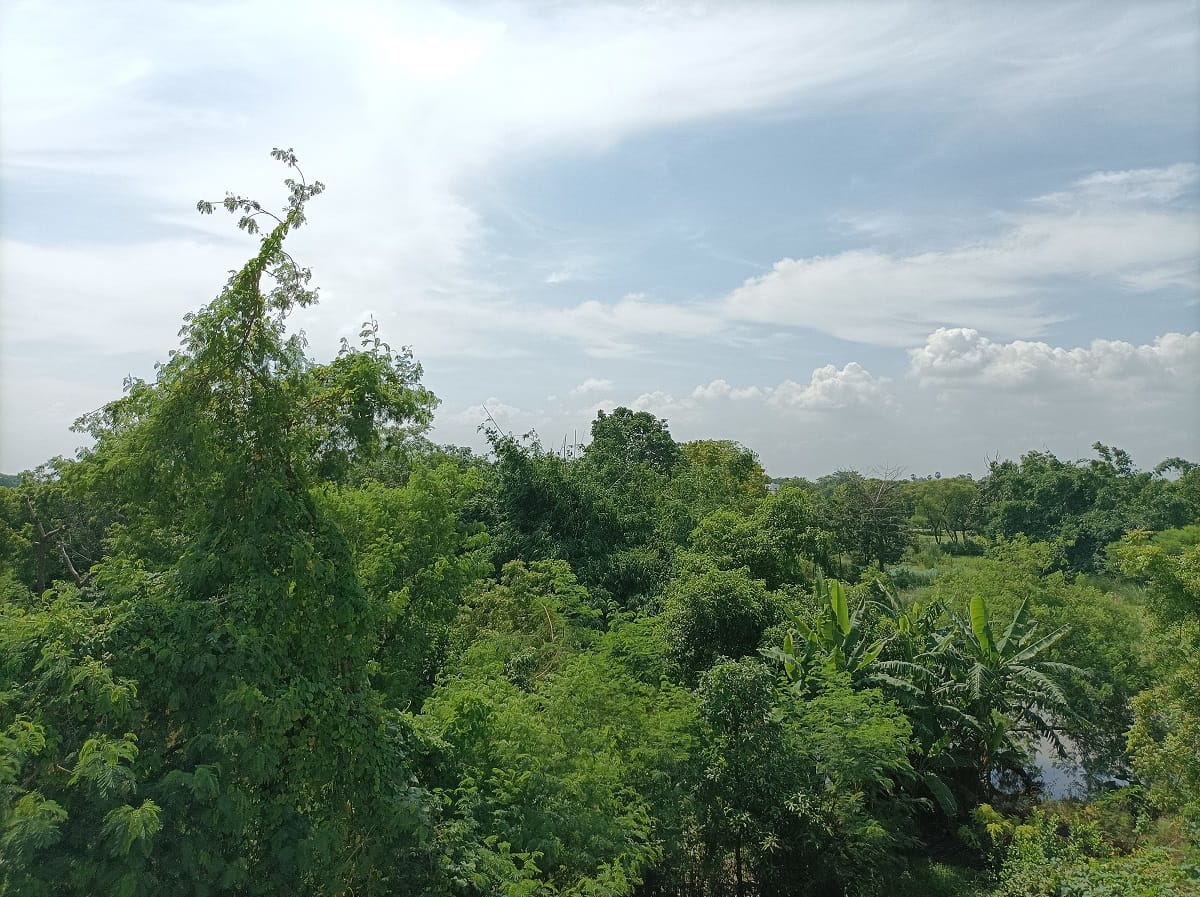 Poco M3 Pro 5G Review: 15 हजार की रेंज में एक बढ़िया 5जी स्मार्टफोन
