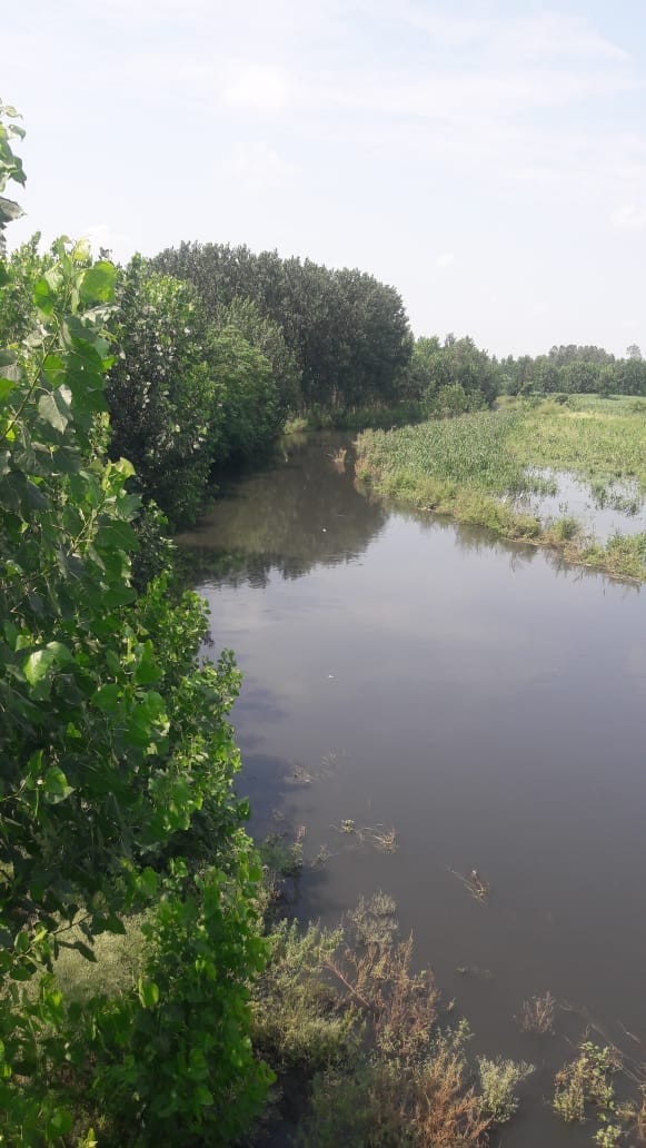 गंदे नाले के रुप में तब्दील हुई हिंडन गंदे नाले के रुप में तब्दील हुई हिंडन