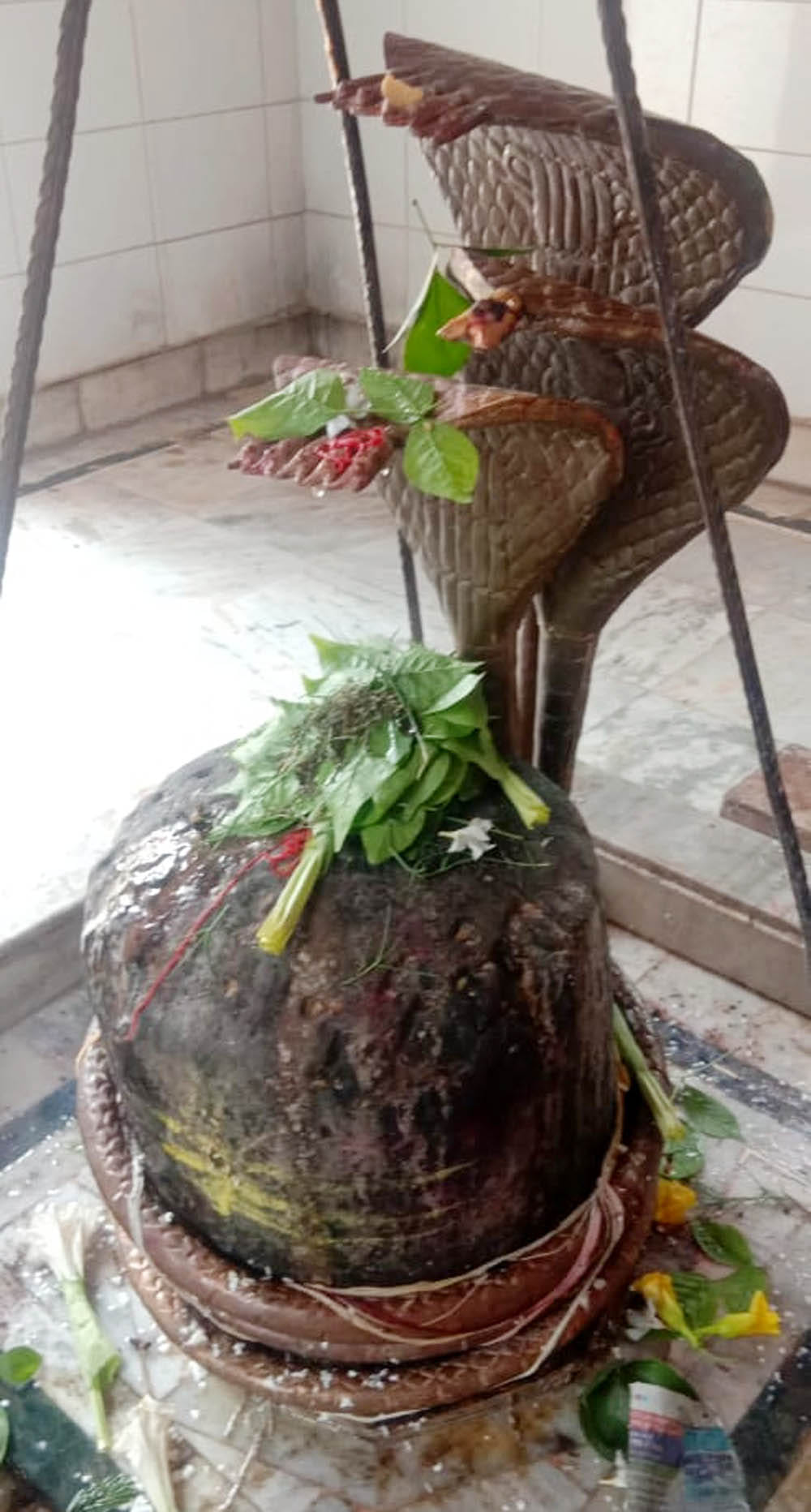 सुमेरपुर क्षेत्र के मनासर बाबा शिवलिंग।