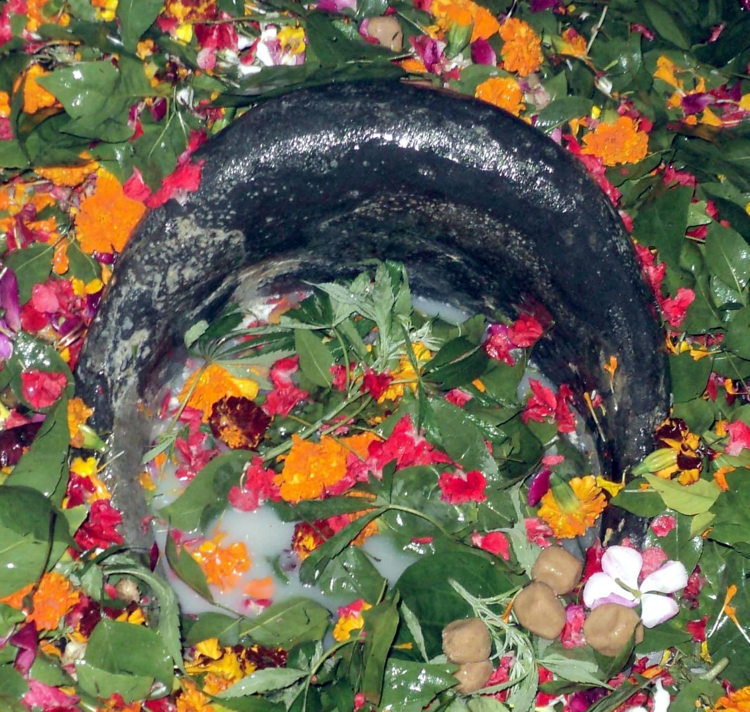 प्राचीन गोला गोकर्णनाथ मंदिर में स्थापित शिवलिंग