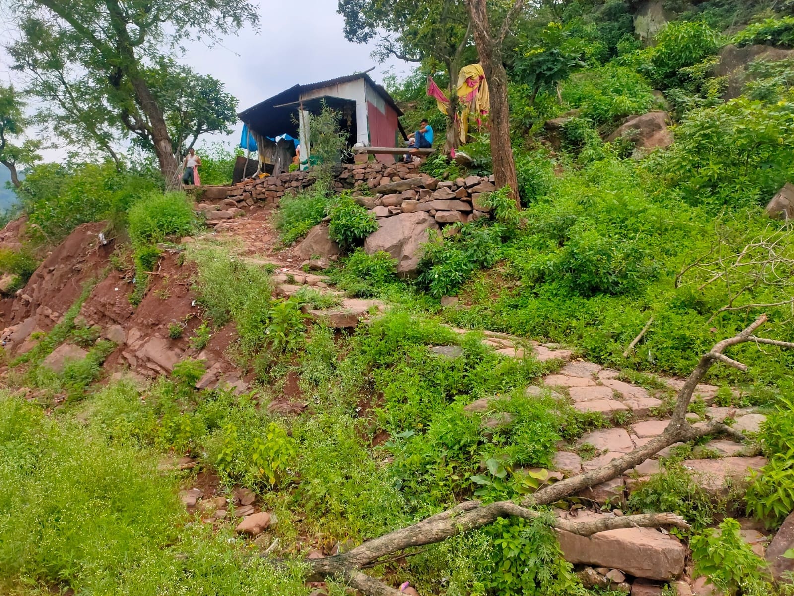 वार्ड 1 के नडेरू मोहल्ले को जाने वाला रास्ता, संवाद। वार्ड 1 के नडेरू मोहल्ले को जाने वाला रास्ता, संवाद।