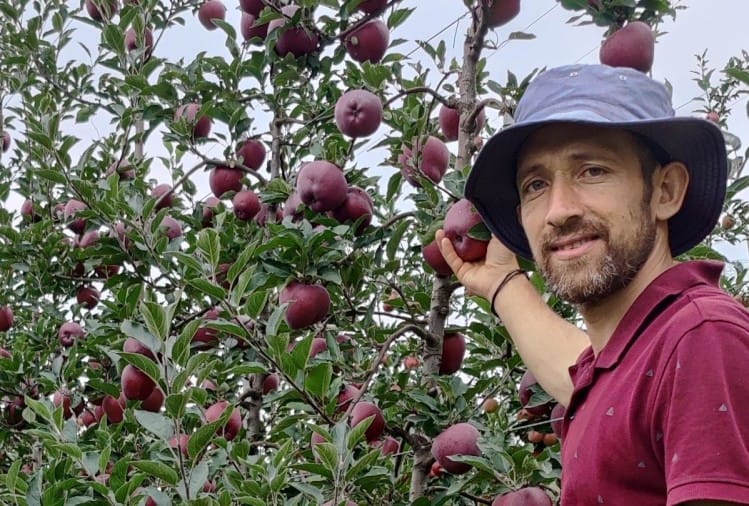 हिमाचली सेब पहली बार चखेंगे दुबई के शेख, एयर कार्गो में भेजा जाएगा