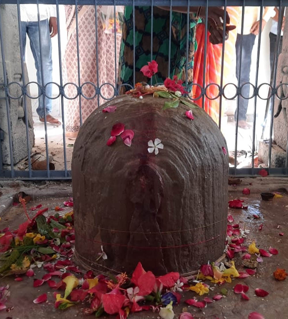 सरीला कस्बे में स्थित शल्लेश्वर मंदिर का शिवलिंग। सरीला कस्बे में स्थित शल्लेश्वर मंदिर का शिवलिंग।