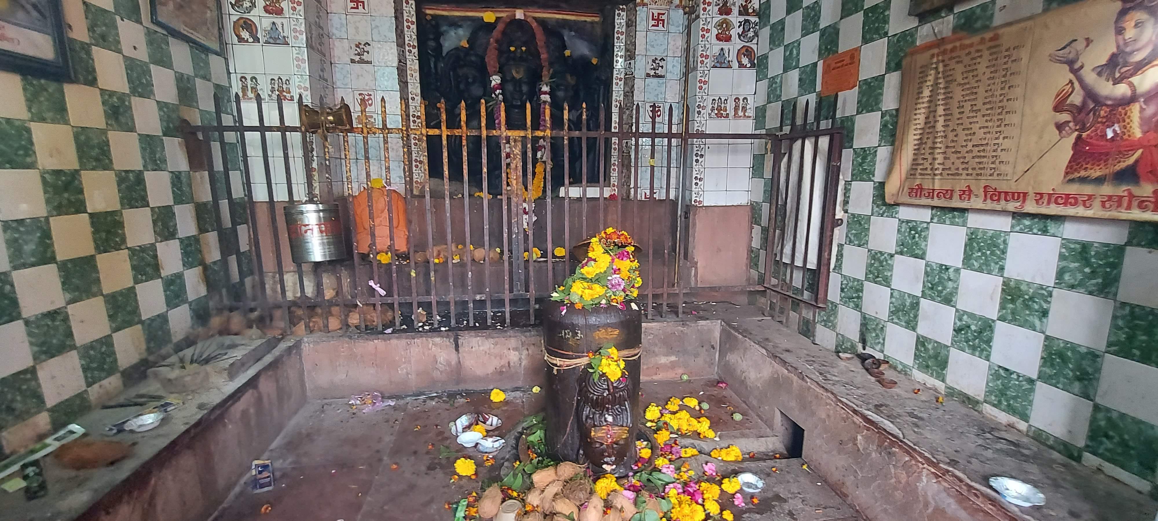 नीलकंठेश्वर मंदिर में शिवलिंग के दर्जन नीलकंठेश्वर मंदिर में शिवलिंग के दर्जन
