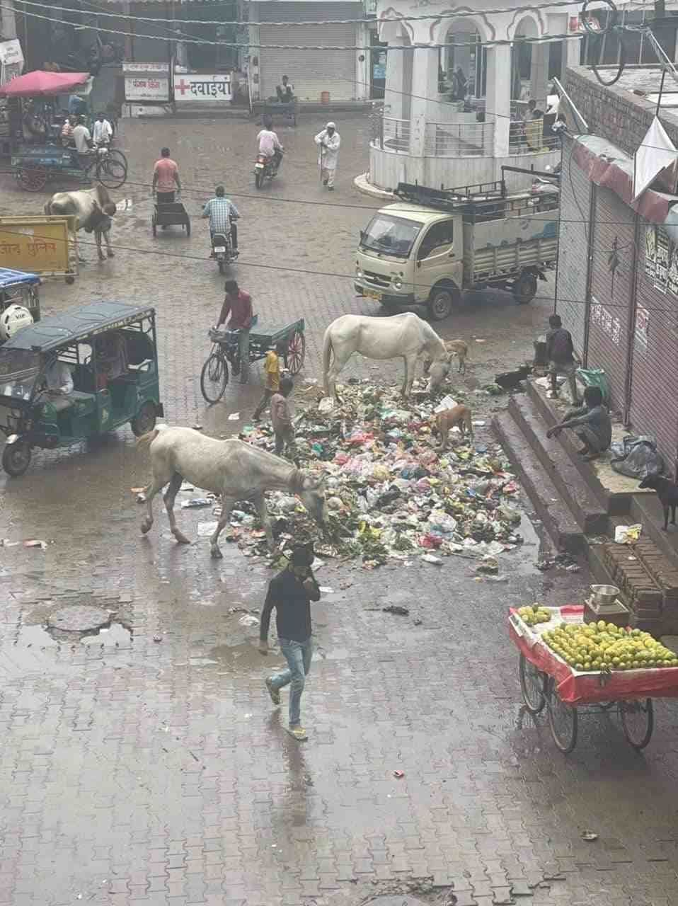  शहर के झांझ गेट पर पड़ा कूड़ा। अमर उजाला