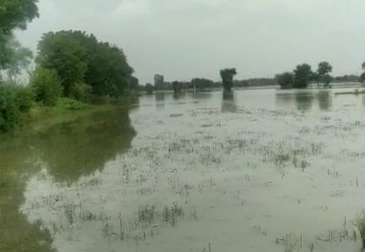  देवरखाना के पास माइनर से डूब गए खेत।