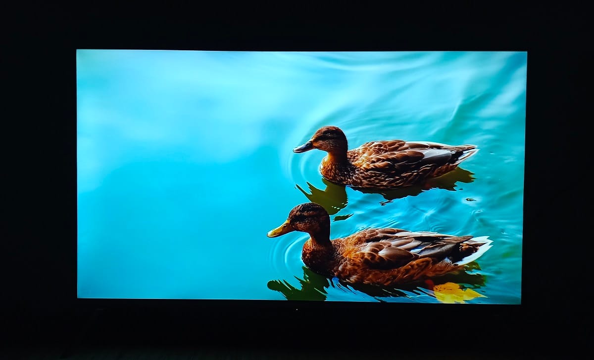 Blaupunkt 43 इंच 4K TV Review: बजट सेगमेंट में 4K स्मार्ट टीवी मार्केट का एक मजबूत प्लेयर