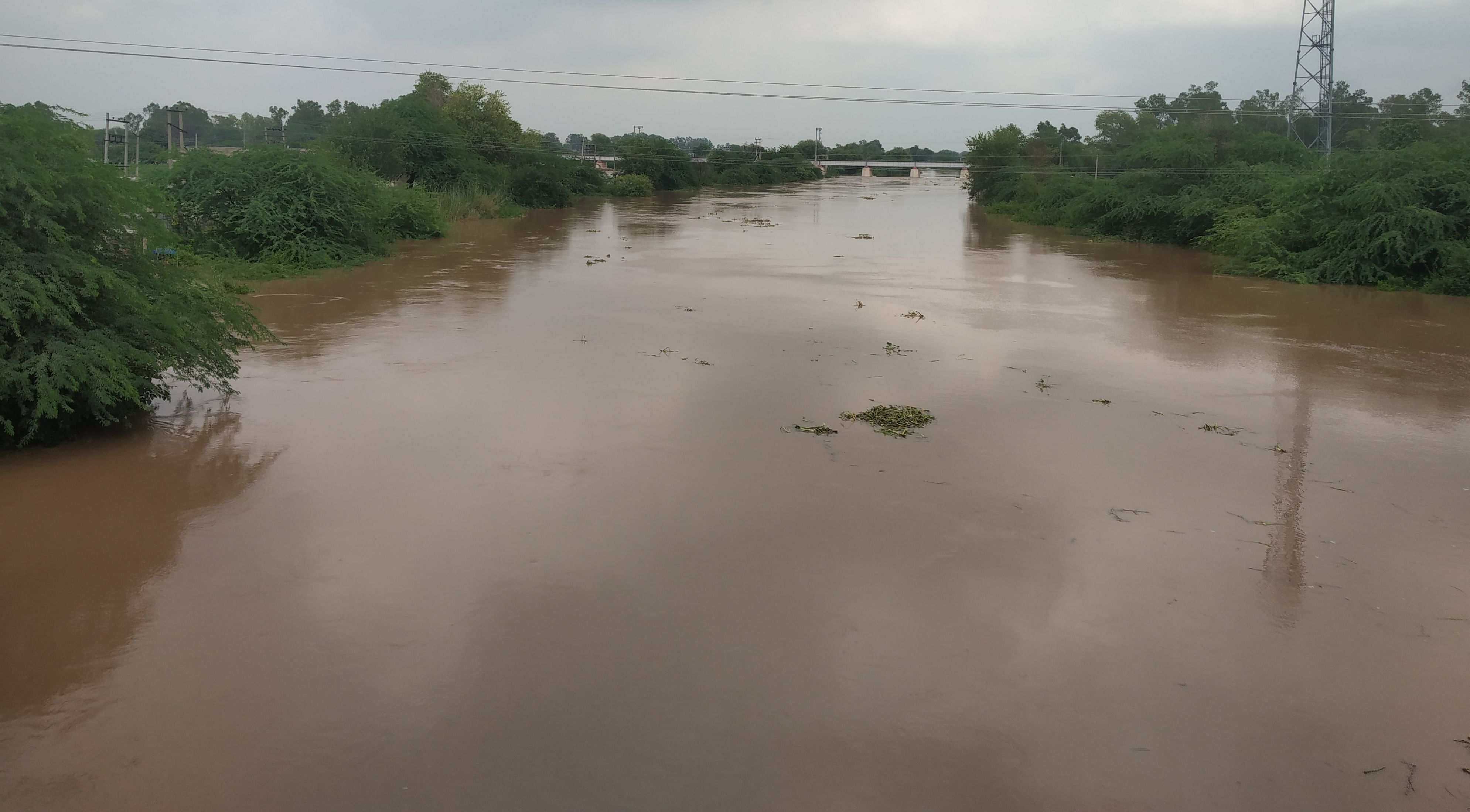 घग्गर के नदी में बहता पानी । 